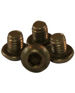 This is for one MotoBatt Stainless Steel C Terminal Screw (image shows four). 